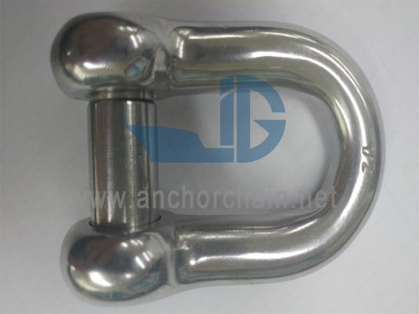 डी-शॅकल (स्लॉट सिंक पिनसह), SS304 किंवा SS316