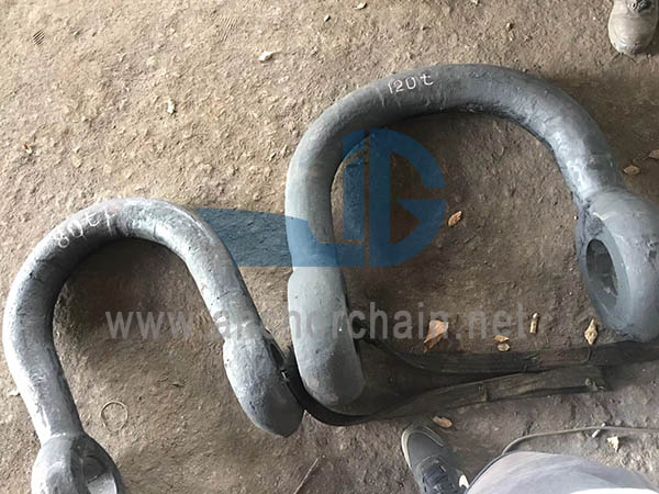 मोठा उघडणारा शॅकल